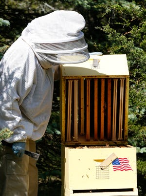 Denise Palkovich tends to seven honeybee hives.