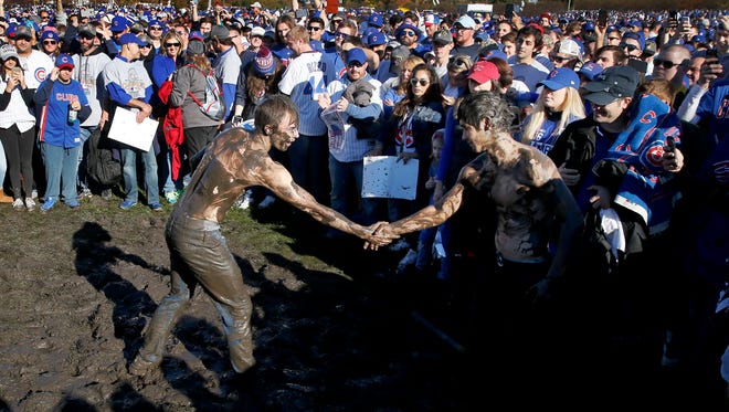 Cubs fans shake hands after wrestling in the mud at Grant Park.