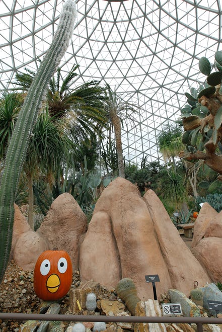Mitchell Park Horticultural Conservatory Desert Dome was reopened to the public on Oct. 29, 2016. The Desert Dome was decorated for the Ghosts Under Glass fundraising event sponsored by Friends of the Dome.